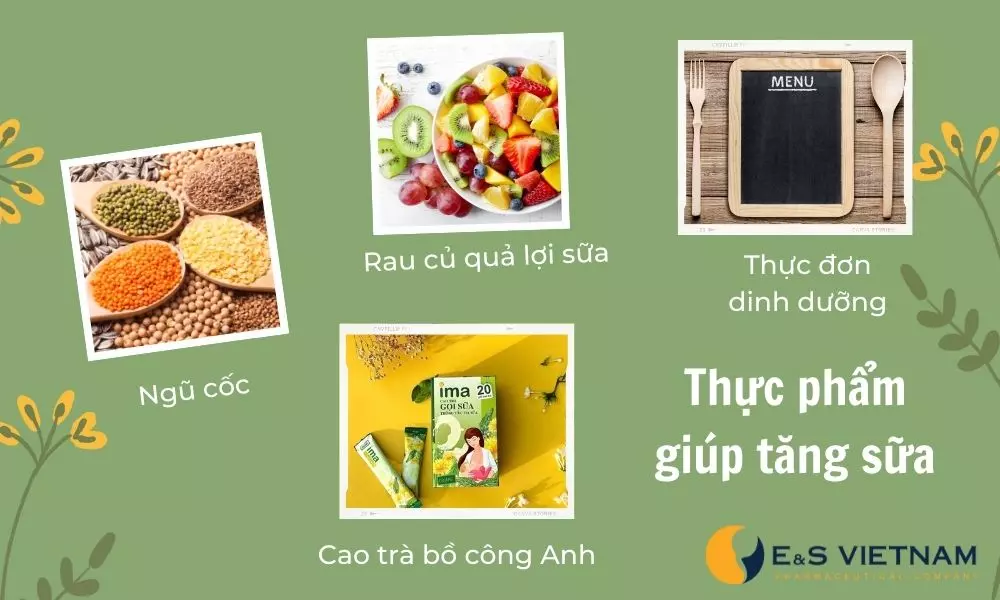 Bổ sung thực phẩm giúp tăng sữa