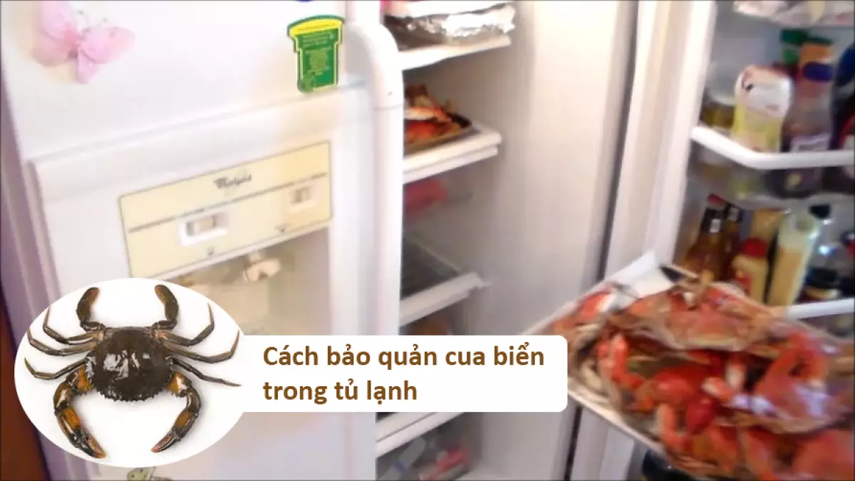 Cách bảo quản thịt cua cho bé ăn dặm trong tủ lạnh khi cua còn sống