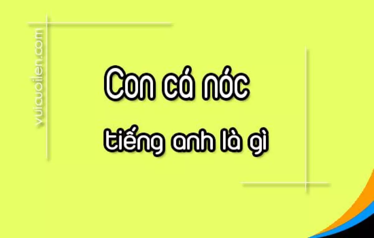 Con cá nóc tiếng Anh là gì