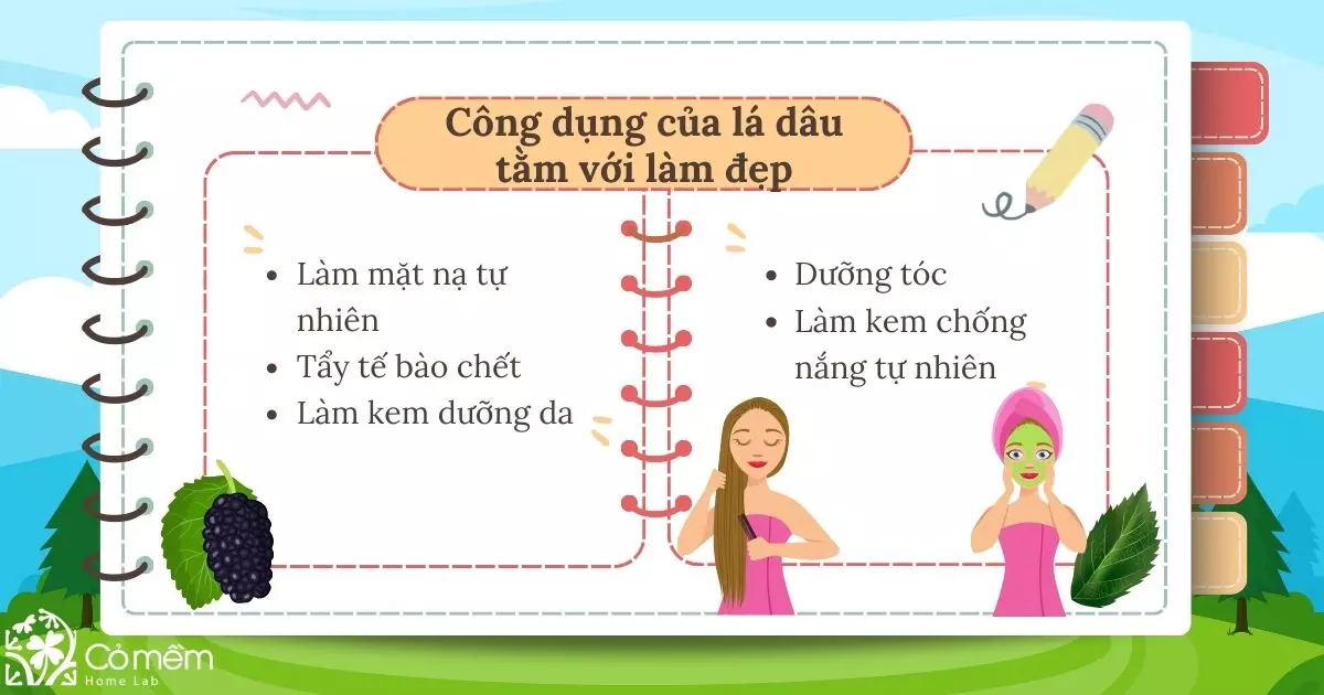 Lá dâu tằm được sử dụng trong làm đẹp