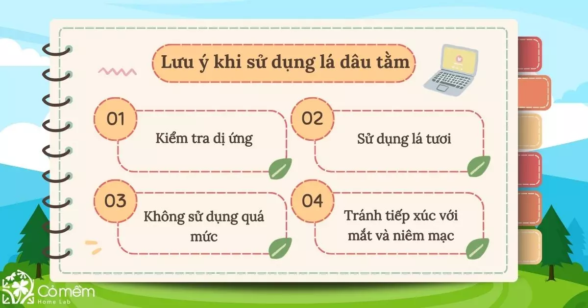 Những lưu ý khi sử dụng lá của cây dâu tằm