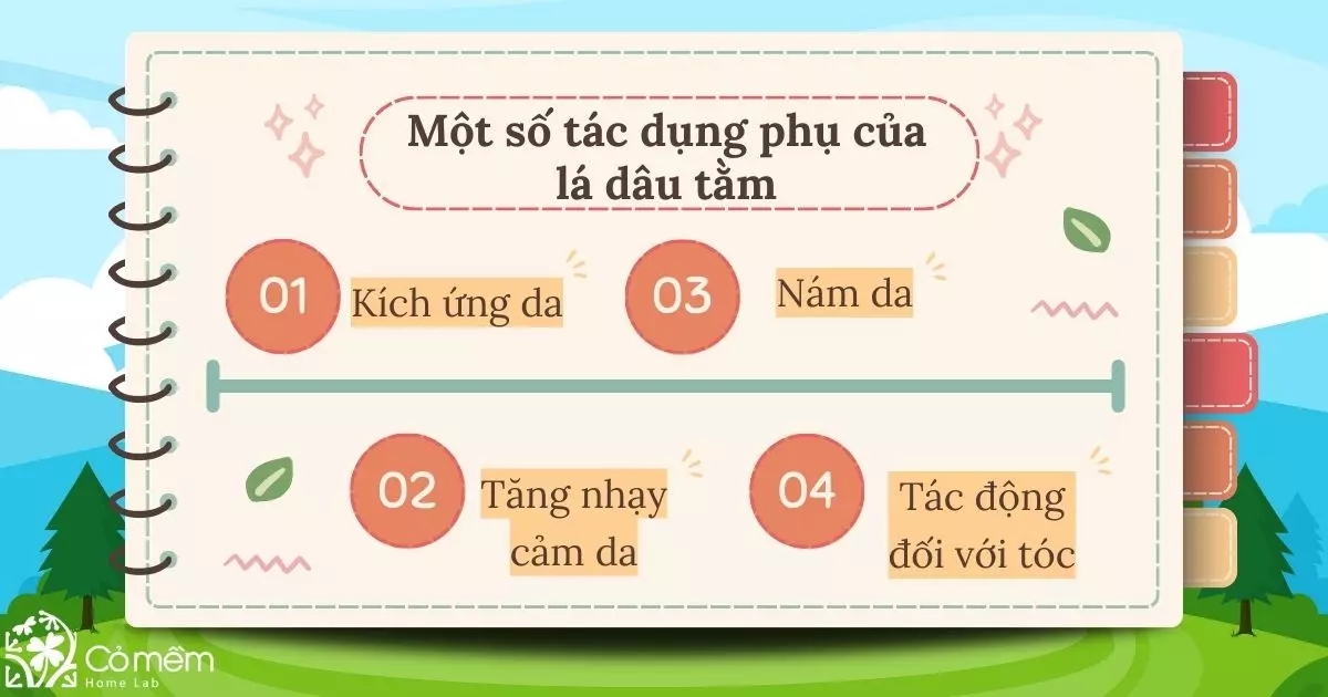 Một số tác dụng phụ của lá dâu tằm