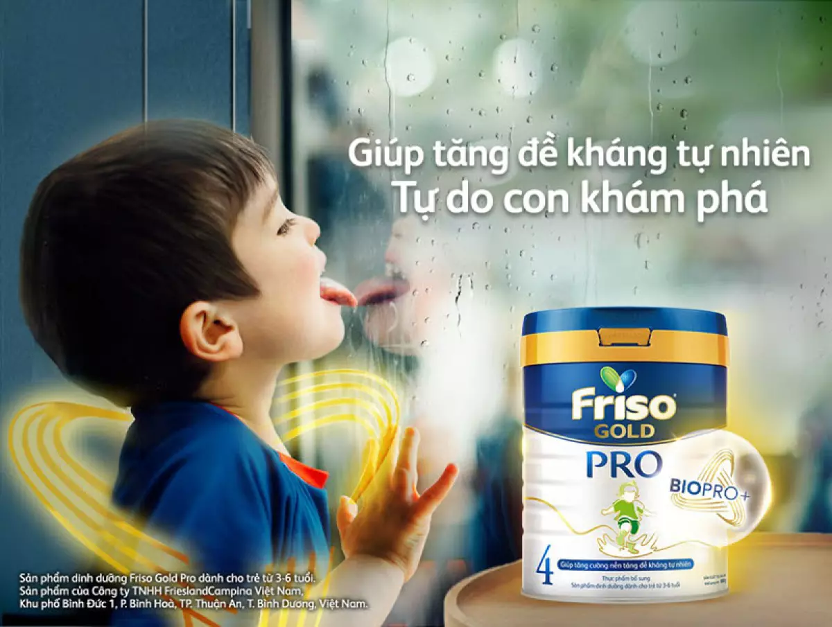 probiotic có trong thực phẩm nào