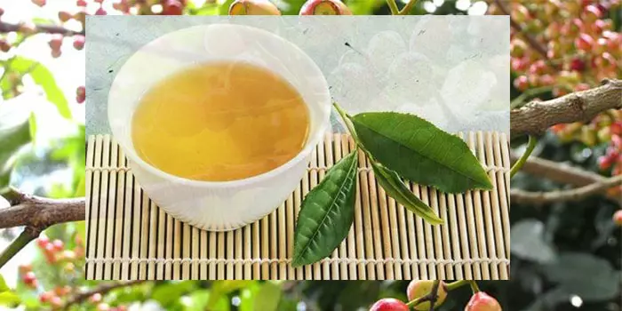 Sản phẩm nụ vối khô gói 500g