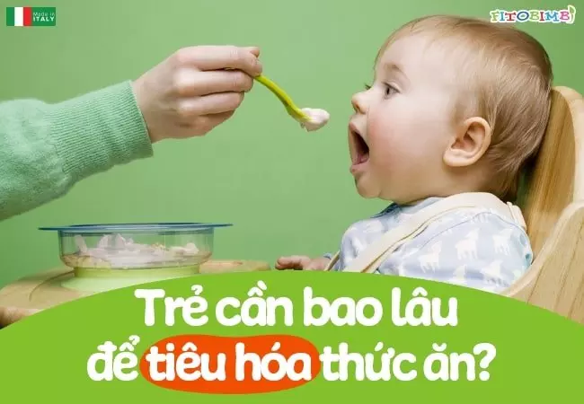 Tùy vào từng loại thức ăn mà thời gian tiêu thụ khác nhau