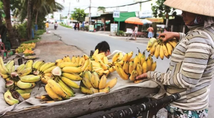 Đất Đèn Có Độc Không