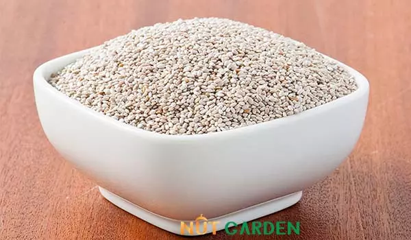 Giá hạt chia trắng bao nhiêu tiền 1kg