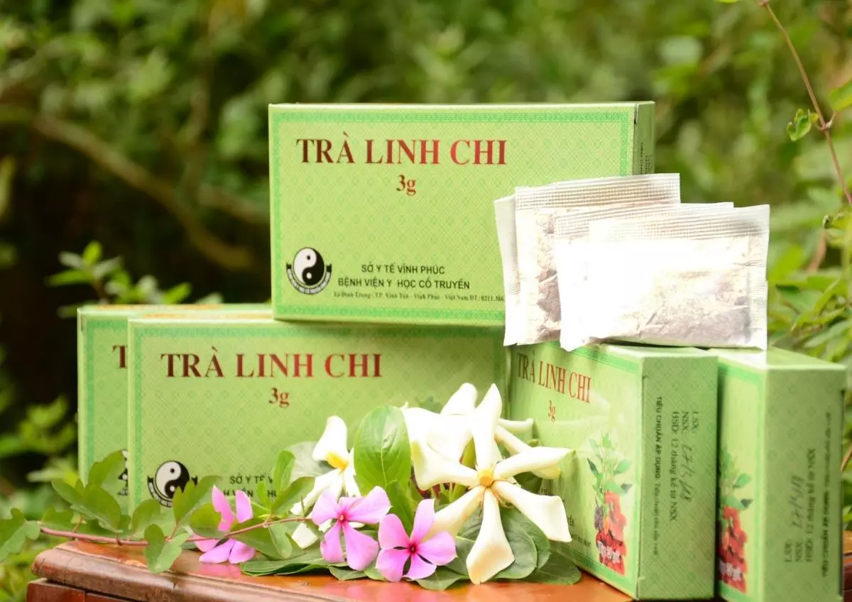 Trà Linh chi táo đỏ