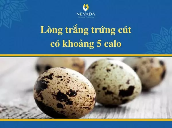 Lòng trắng trứng cút có khoảng 5 calo