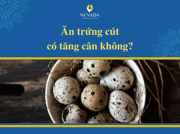 Ăn trứng cút có tăng cân không?