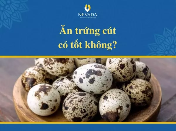 Ăn trứng cút có tốt không?