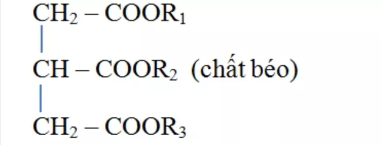 công thức cấu tạo của lipit - lipit hóa 12