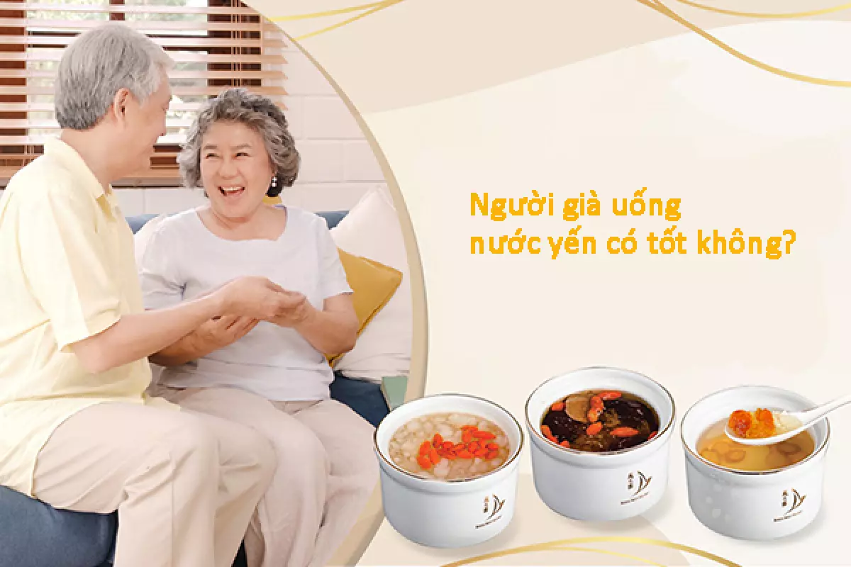 Người già uống nước yến có tốt không