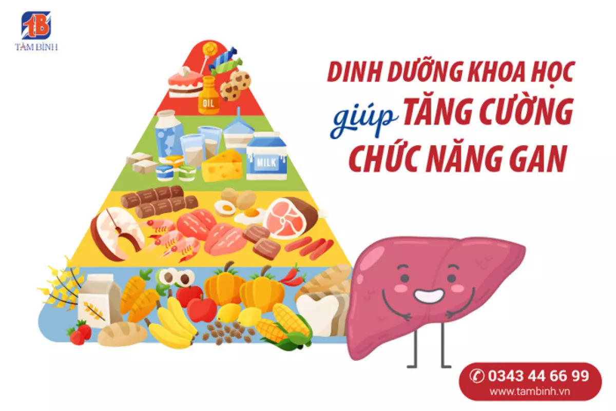 vai trò dinh dưỡng với chức năng gan