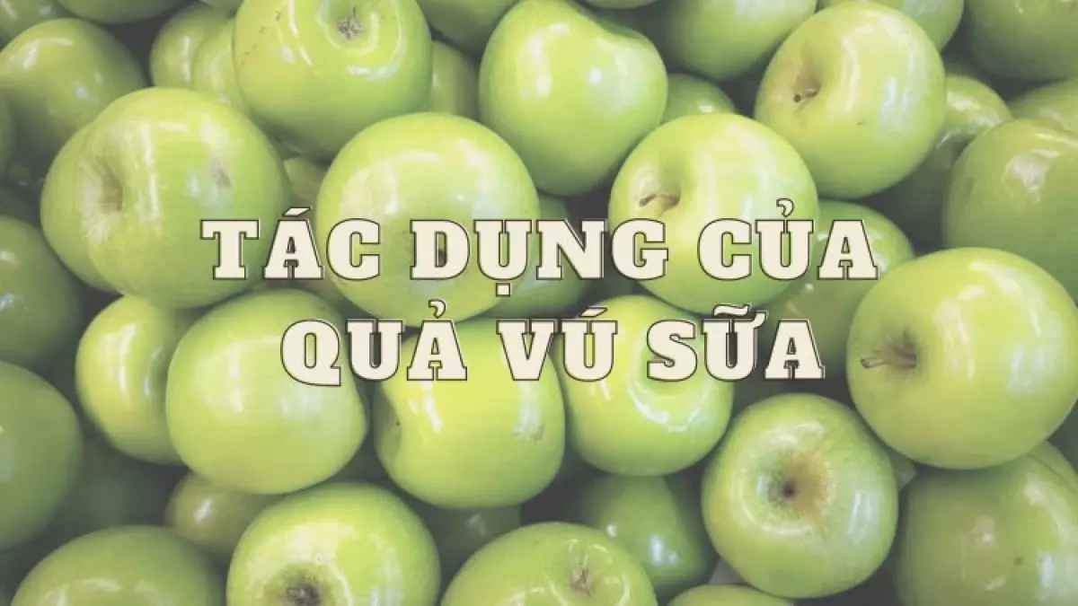 Tác Dụng Của Vú Sữa