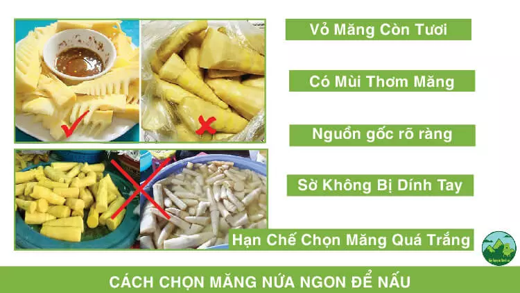 Cách chọn măng nứa ngon