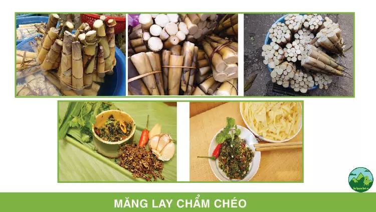 Hưỡng dẫn làm măng Lay chẩm chéo