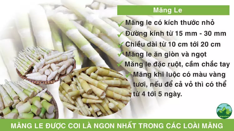 Măng Le được coi là ngon nhất trong các loài măng