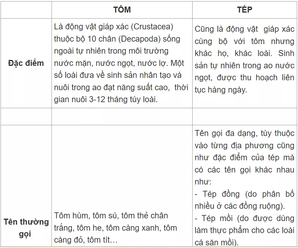 Phân biệt con tôm và con tép-2