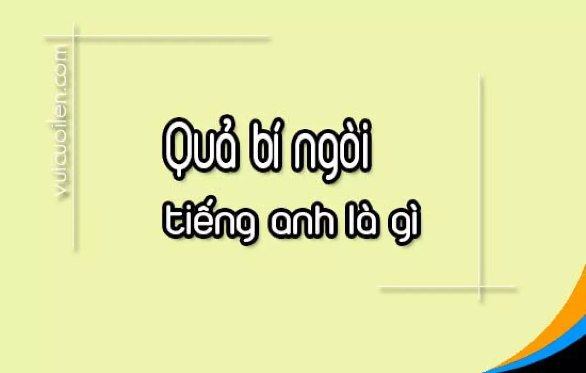 Quả bí ngòi tiếng anh là gì