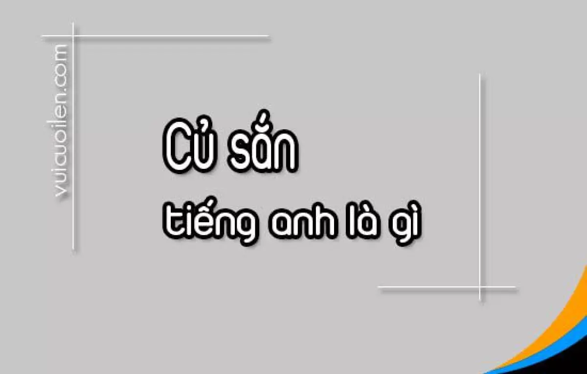 Củ sắn tiếng anh là gì