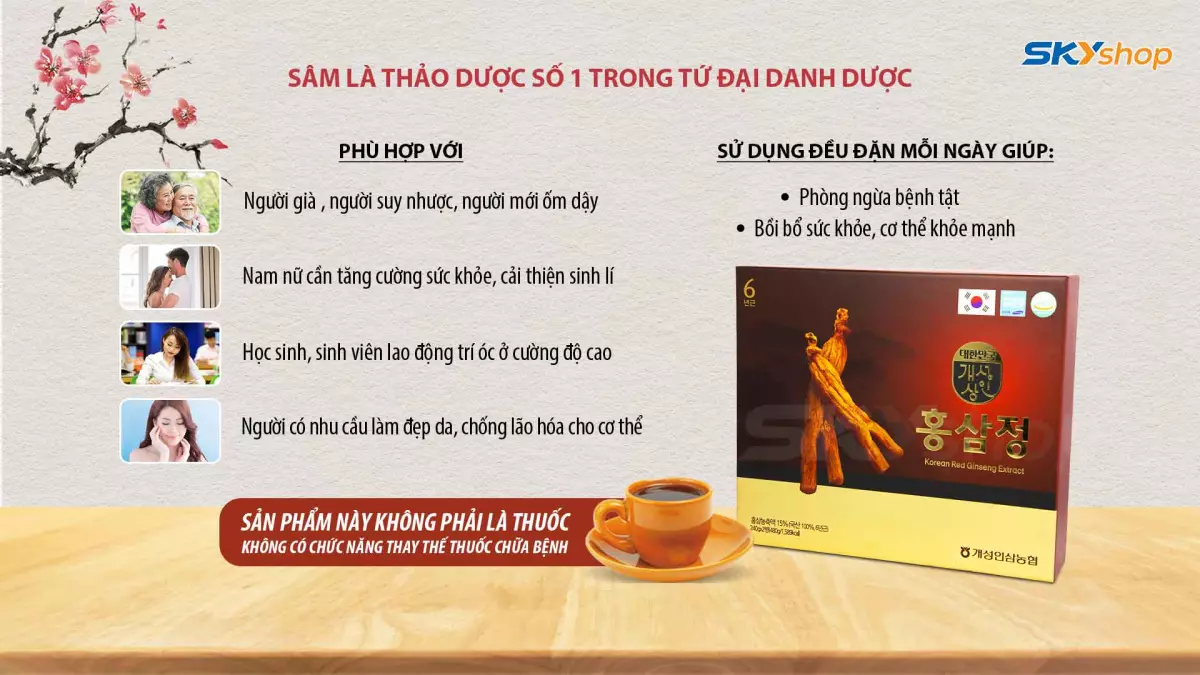 1 Hộp Cao Hồng Sâm Hàn Quốc 240g/hũ (1 hộp 2 lọ) - (Hồng sâm 6 năm tuổi) - Tặng 2 Hộp Trà Sâm Wongin-T Ginseng Tea 200g (100 Gói X 2g) + 1 Gói Kẹo Sâm Không Đường