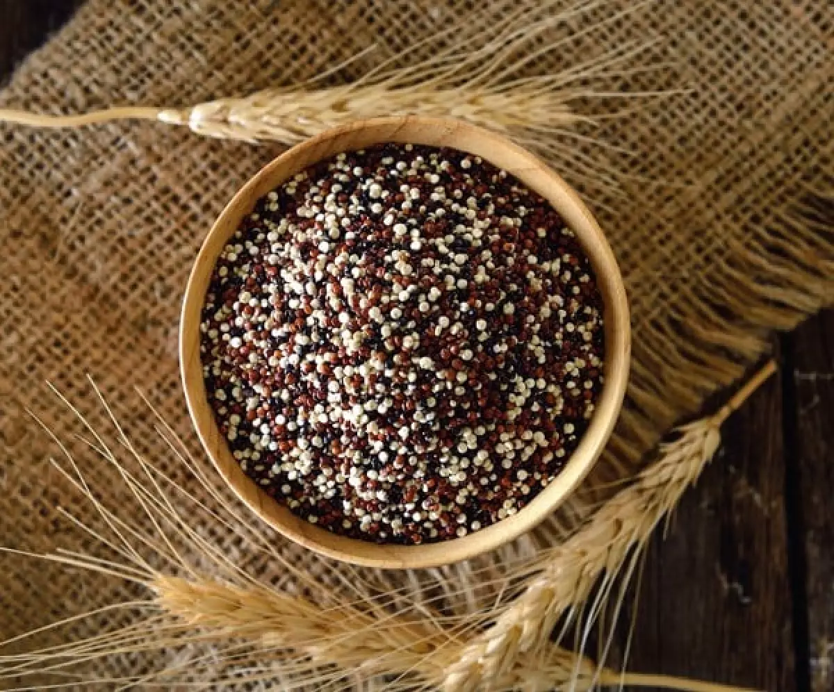 Sữa Hạt Quinoa Organic