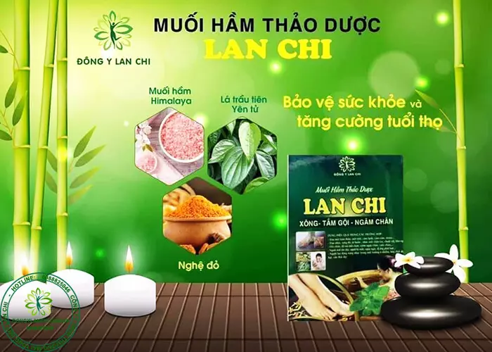 Thành phần muối hầm Lan Chi