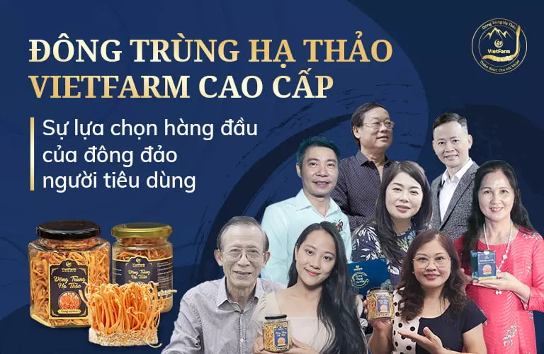 Đông trùng hạ thảo Vietfarm được nhiều nghệ sĩ Việt tin dùng