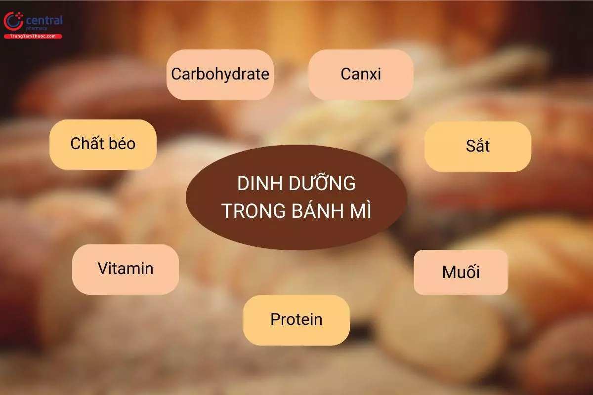 Dinh dưỡng có trong bánh mì