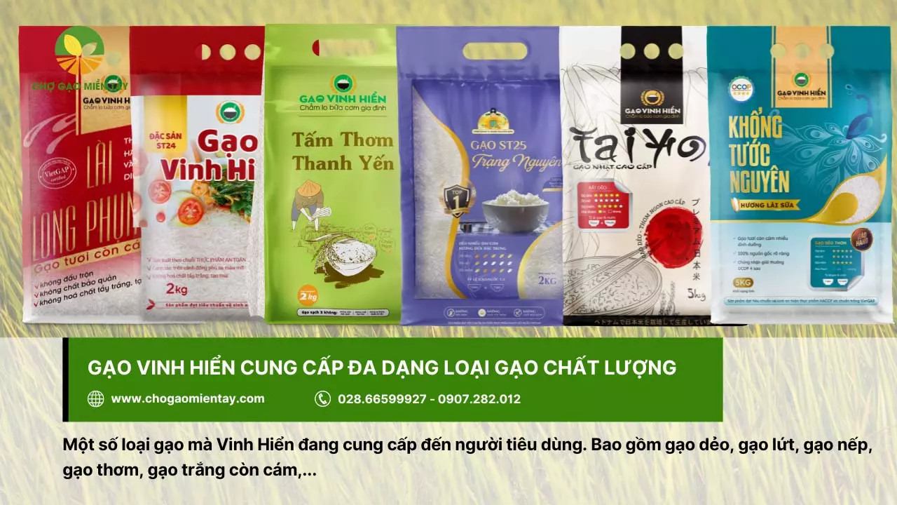 Danh sách top 10 vựa gạo Tiền Giang chất lượng và uy tín hiện nay