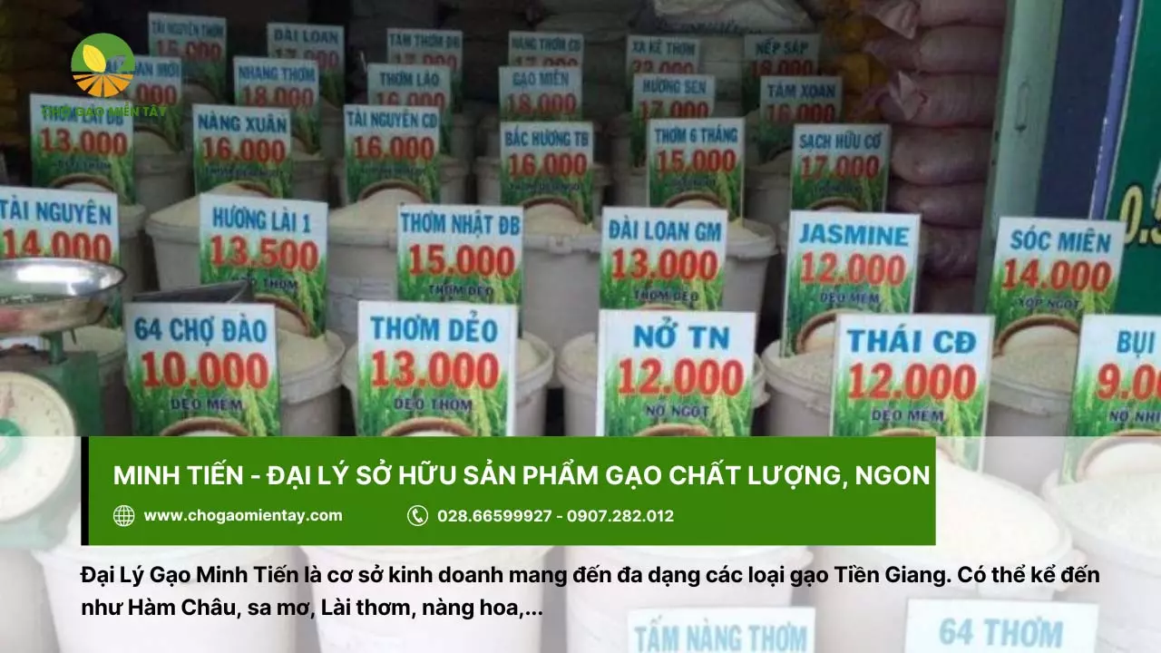 Thanh Trúc là một trong những đại lý gạo uy tín ở Tiền Giang