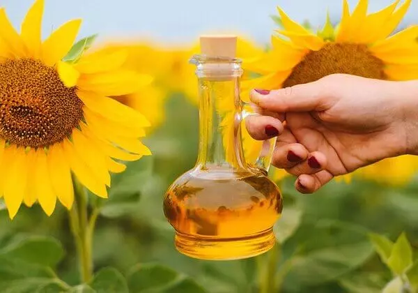 Nên sử dụng Sunflower Lecithin nếu bạn dị ứng với Soy Lecithin từ đậu nành