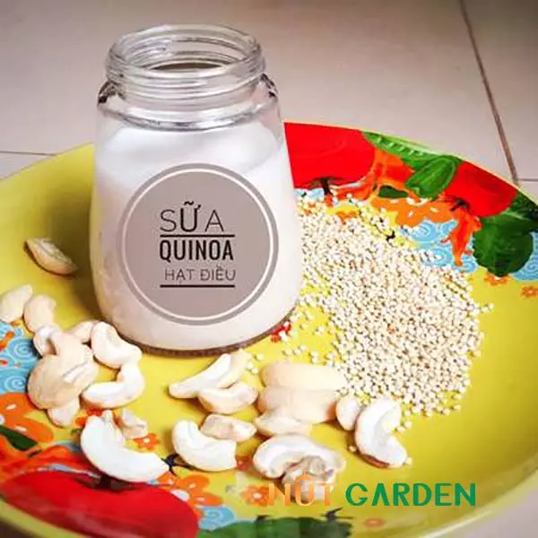 Cách làm sữa hạt quinoa bí đỏ