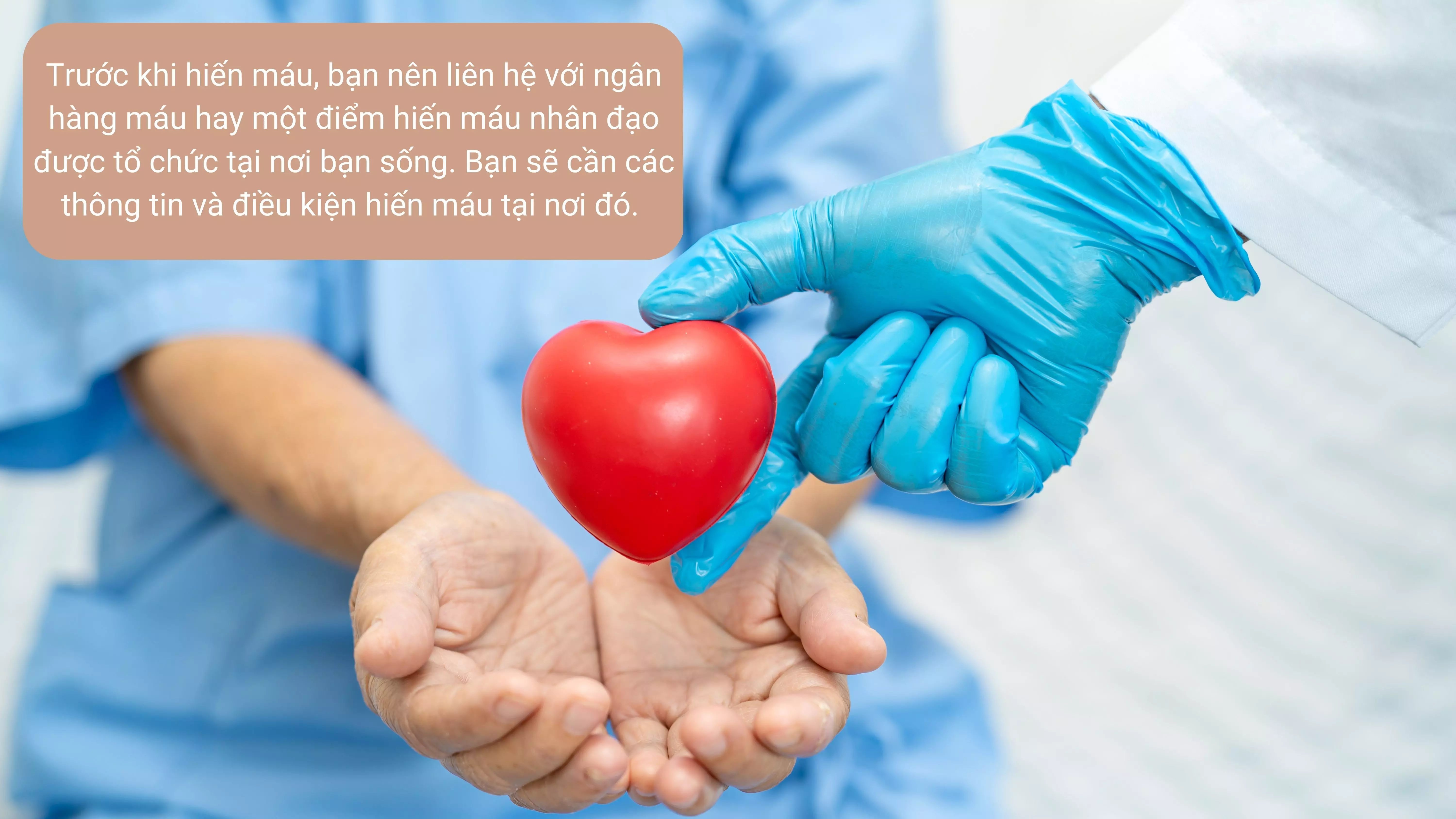 Bạn nên liên hệ với các tổ chức hiến máu để có thêm thông tin - Nguồn: Canva