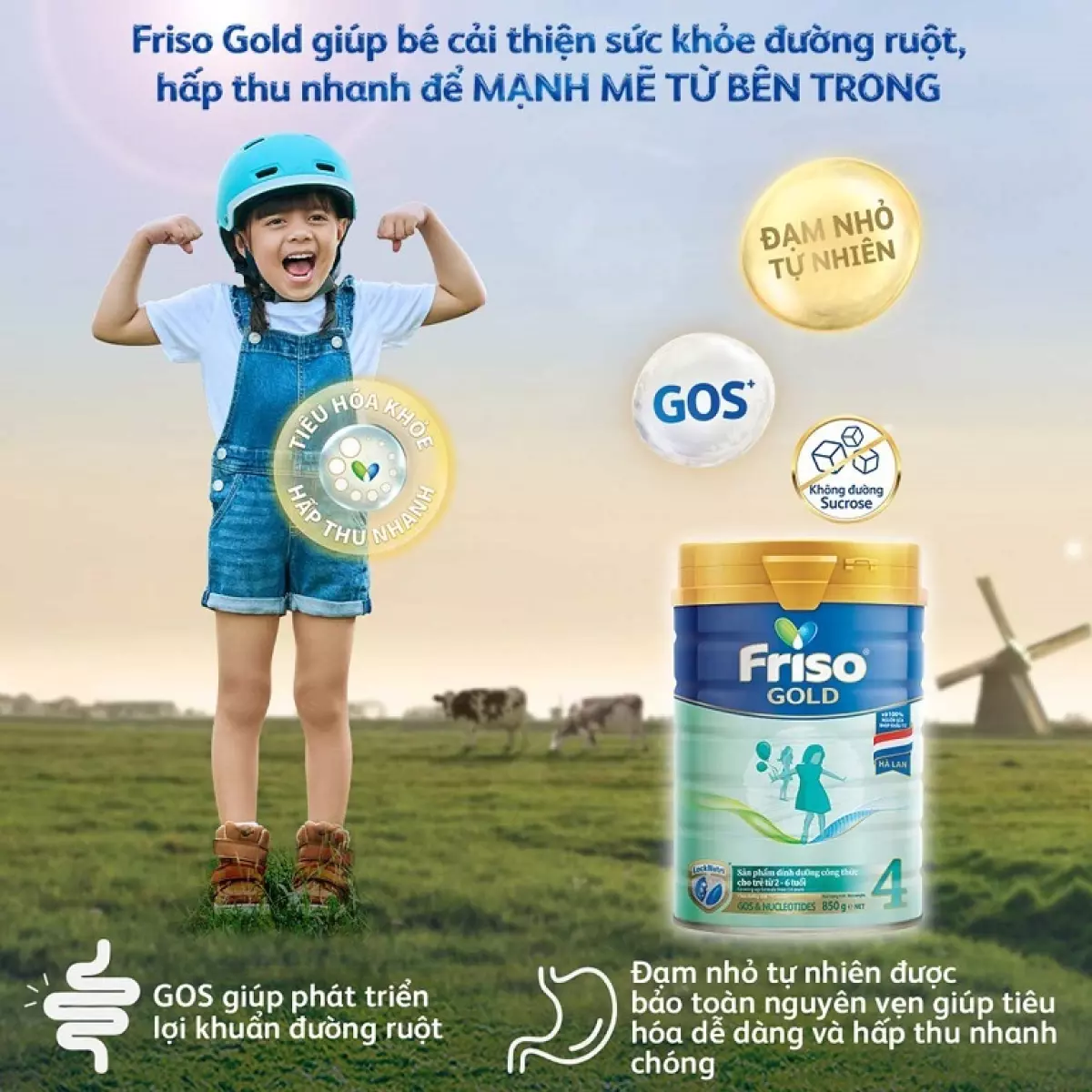 Sữa Friso Gold cho trẻ từ 0 - 6 tuổi - Giá tham khảo: 497.000 VNĐ - 585.000 VNĐ/hộp 850g