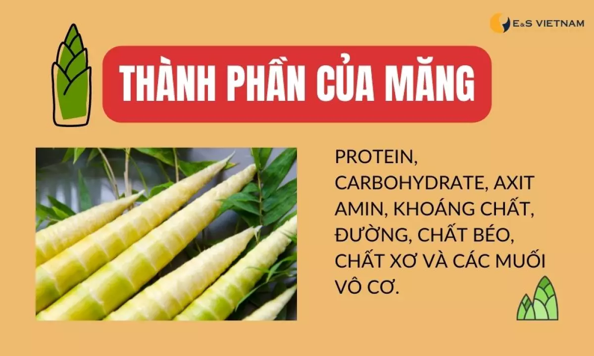 Thành phần có trong măng