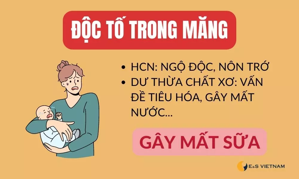 Độc tố có trong măng có thể ảnh hưởng tới sữa mẹ