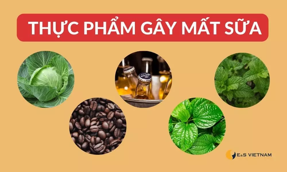 Một số loại thực phẩm gây mất sữa khác