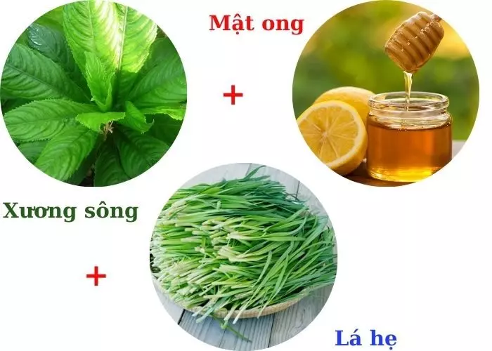 Cách dùng lá xương sông chữa ho cho bà bầu