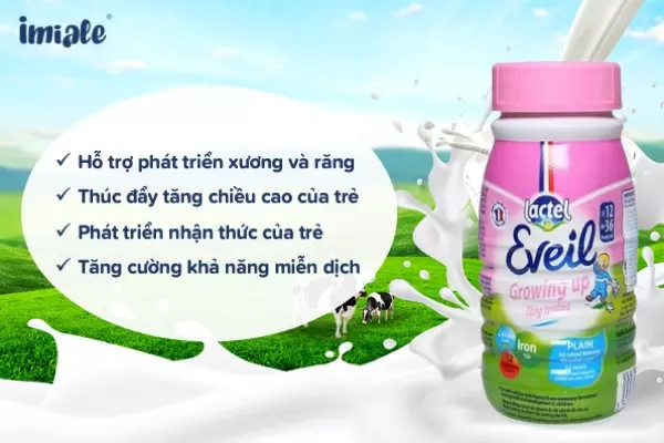 Top 8 sữa pha sẵn Lactel Eveil Growing up