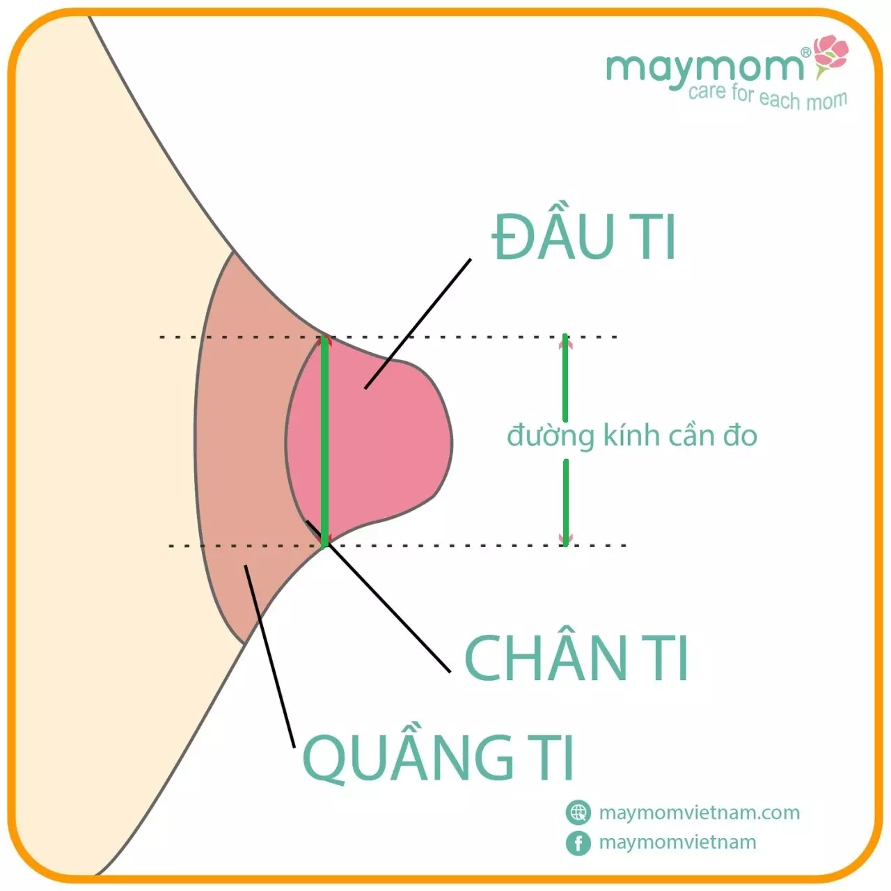 Cách đo size phễu máy hút sữa