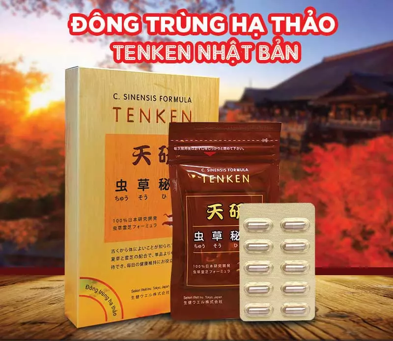 Viên đông trùng hạ thảo Tenken