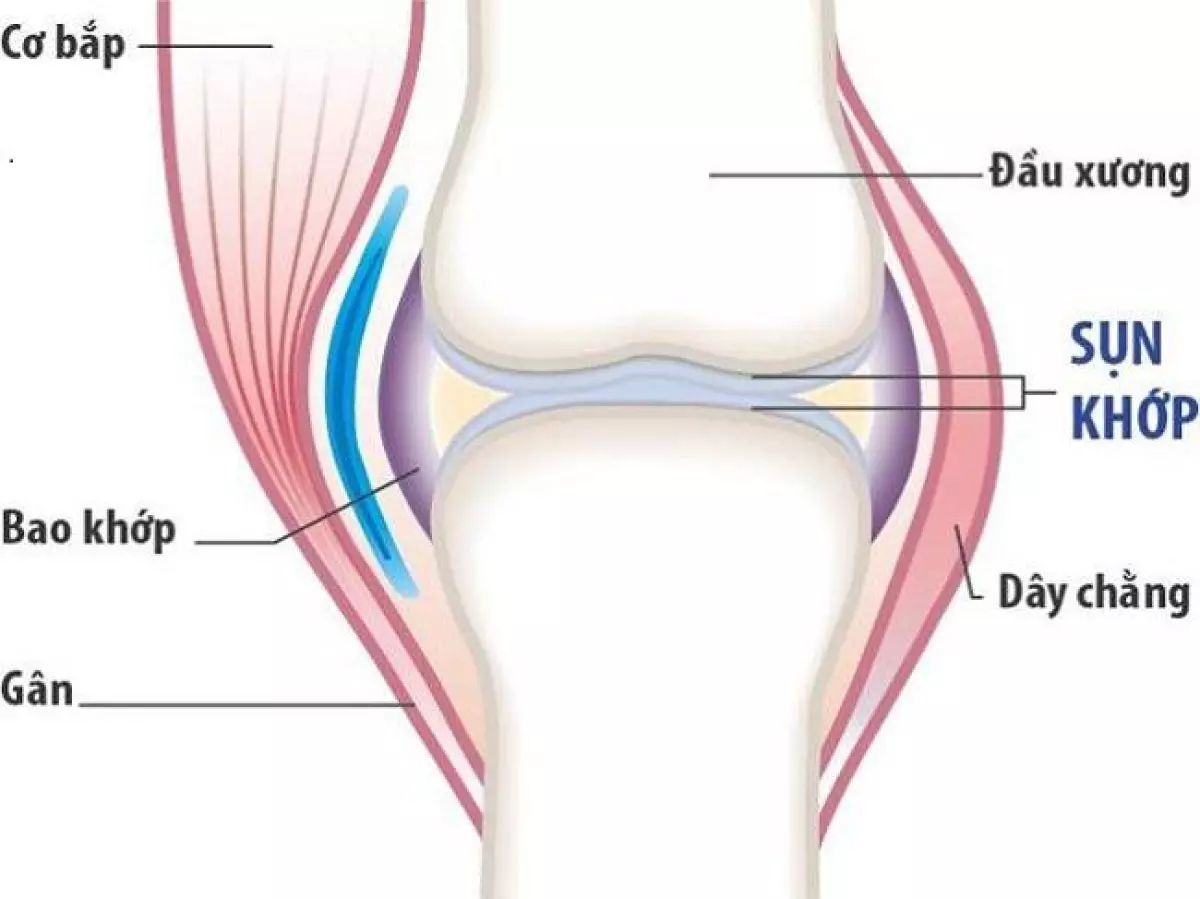 Cách bổ sung dinh dưỡng cho xương khớp