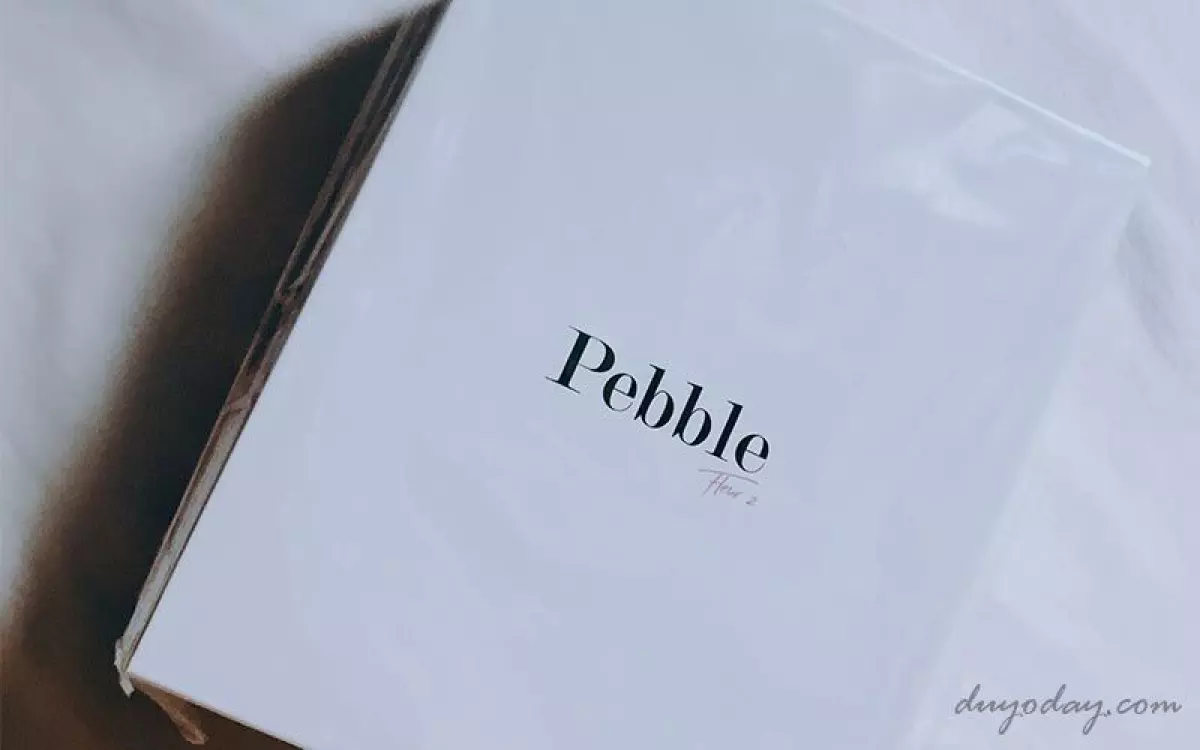 Pebble Fleur 2 Review