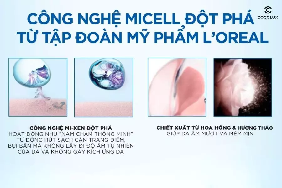 Thành phần nổi bật của Nước Tẩy Trang Loreal Xanh Đậm Micellar Water Làm Sạch Sâu Trang Điểm