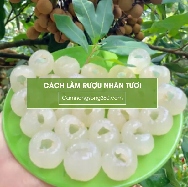 cach ngam ruou nhan tuoi