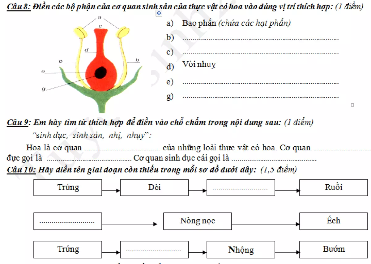 De thi ki 2 lop 5 mon Khoa hoc 2018 - TH Tran Thoi 2