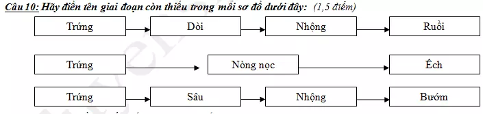 De thi ki 2 lop 5 mon Khoa hoc 2018 - TH Tran Thoi 2