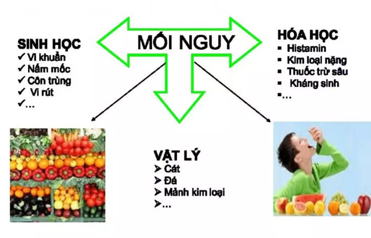 Sinh học, hóa học và vật lý là 3 mối nguy an toàn thực phẩm doanh nghiệp, người tiêu dùng cần phải biết